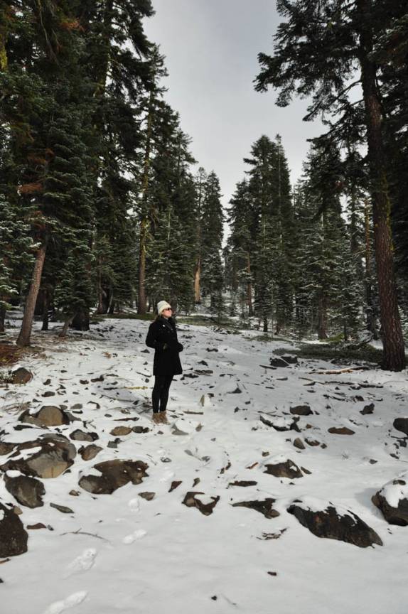 Caminhando pela floresta nevada do Mount Shasta, na Califórnia, nos Estados Unidos